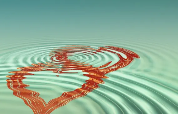 Casino Rich King Support